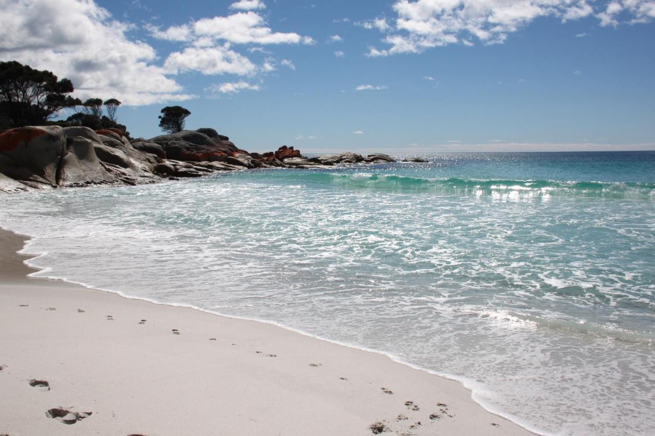 Binalong Beach Cottage Beachfront At Bay Of Fires Next To Restaurant Binalong Bay Esterno foto